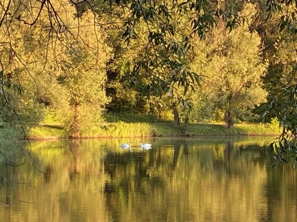 Am Karlsbader Weiher